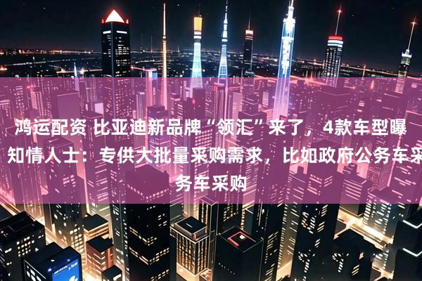 鸿运配资 比亚迪新品牌“领汇”来了，4款车型曝光! 知情人士：专供大批量采购需求，比如政府公务车采购