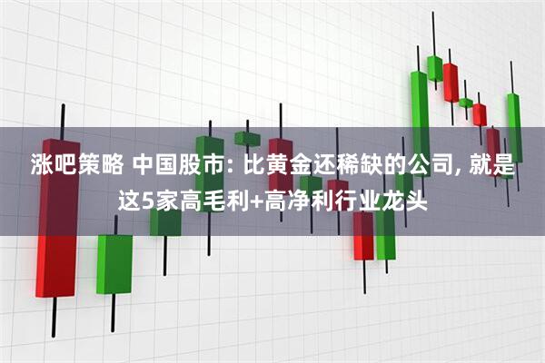 涨吧策略 中国股市: 比黄金还稀缺的公司, 就是这5家高毛利+高净利行业龙头
